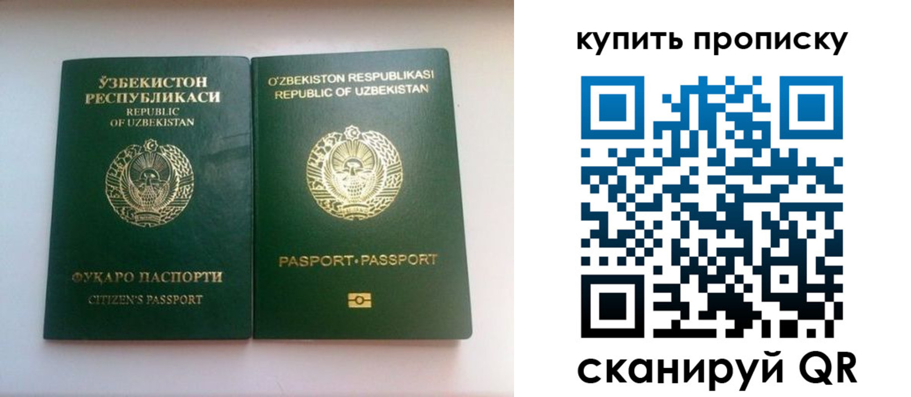 временная прописка в Коряжме